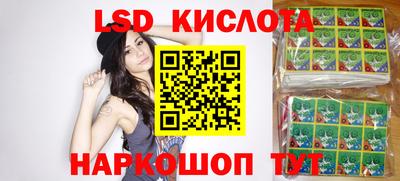 мет Кингисепп