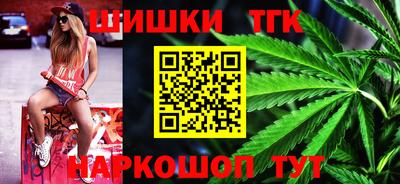 мет Кингисепп