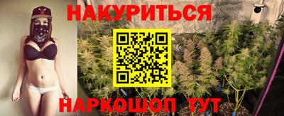 мет Кингисепп