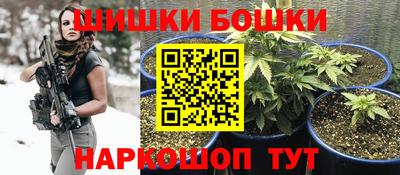 мет Кингисепп
