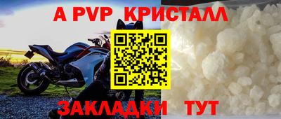 мет Кингисепп