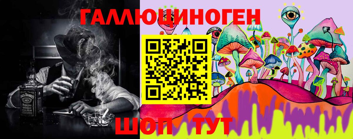 Амурск  Псилоцибиновые грибы Psilocybe  Вход с VPN 