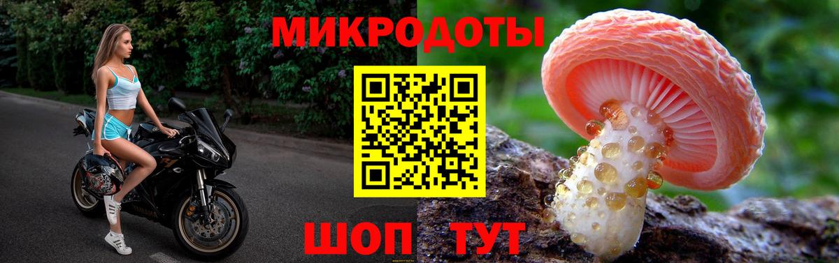 Галлюциногенные грибы MAGIC MUSHROOMS Амурск